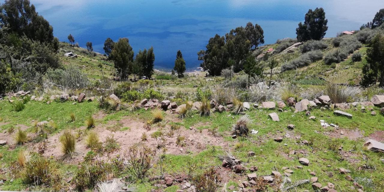 Huillanopampa Taquile Hospedaje Mario المظهر الخارجي الصورة